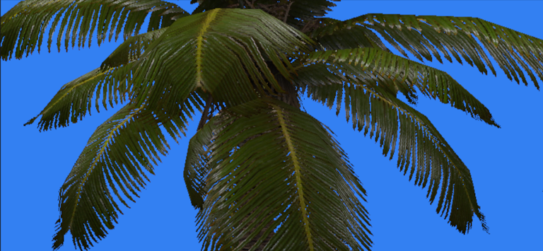 Alpha testing allows us to draw partially-transparent palm fronds